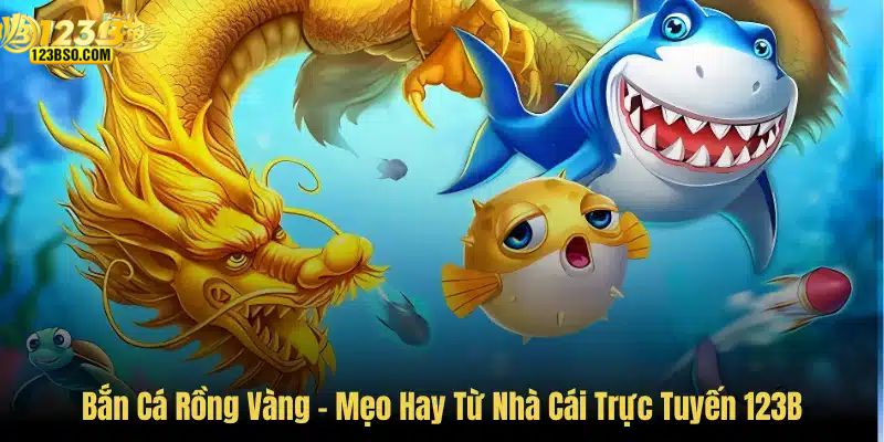Bí kíp làm chủ để rinh xu đầy tay
